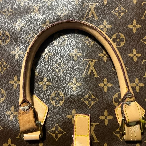Louis Vuitton garment bag